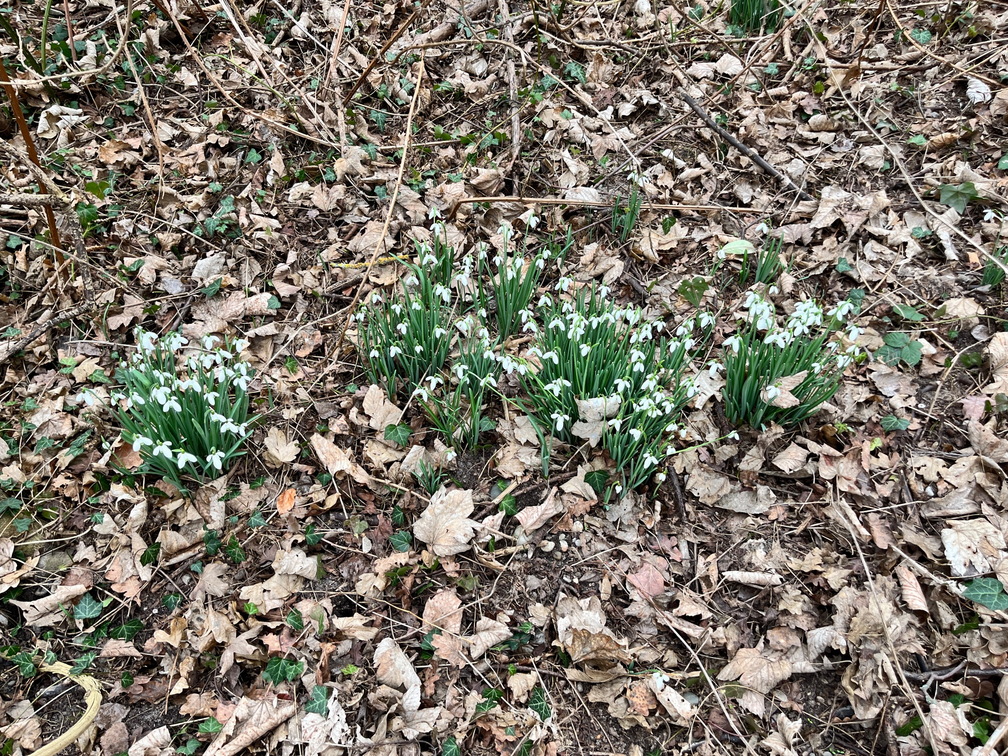 23-02-18 15-56-49 4271